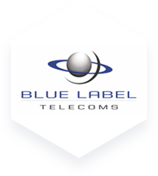 Synthesis Software Technologies