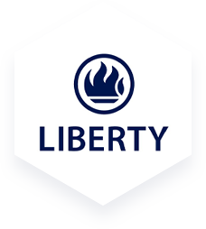 Synthesis Software Technologies
